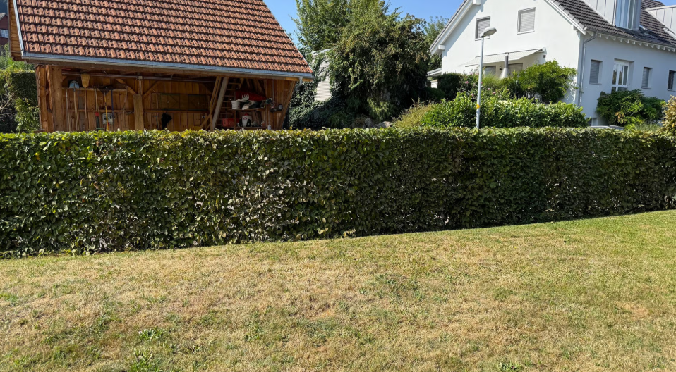 Arbeit von Hauswart- und Gärtnerarbeiten Evergreen