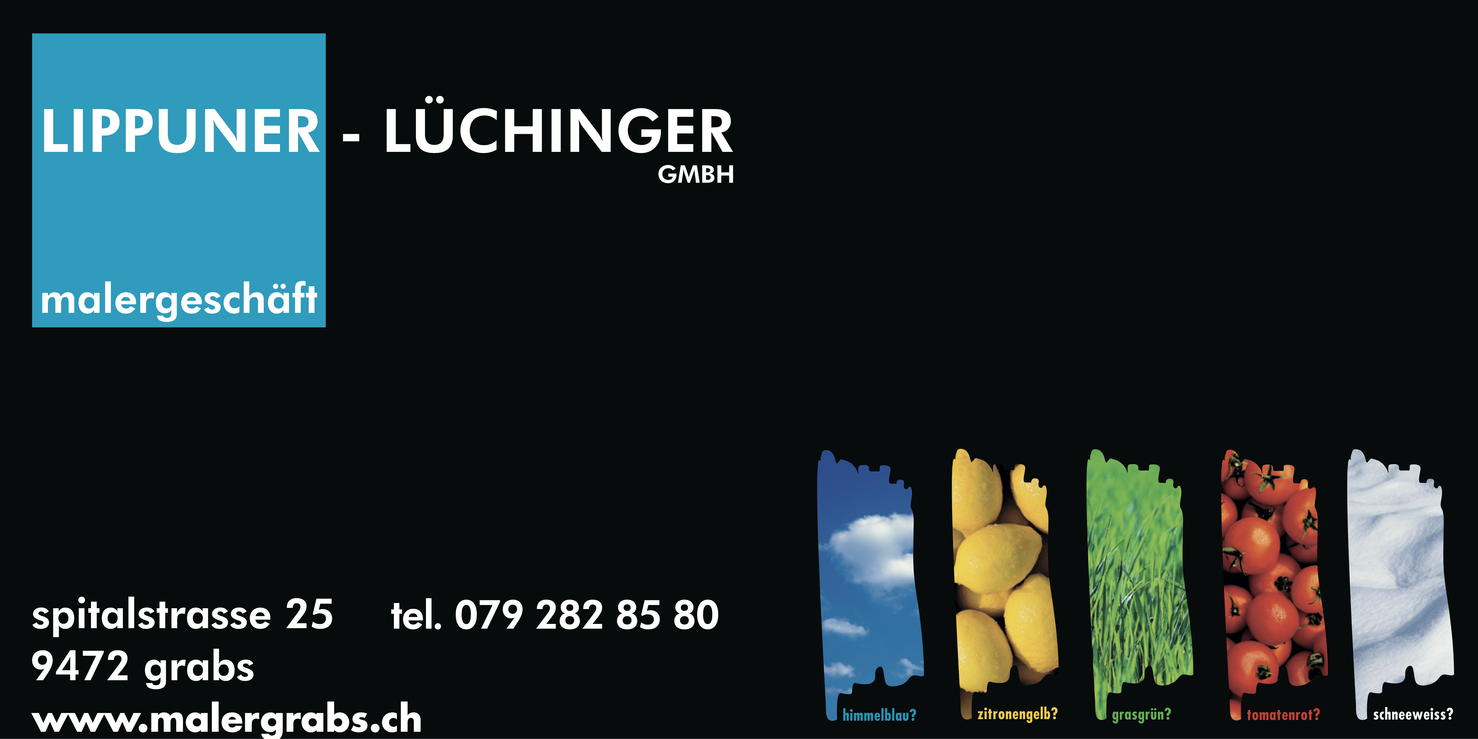 Logo von Lippuner – Lüchinger GmbH